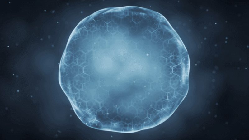 生物制品出口报关：那些容易踩坑的隐性雷区