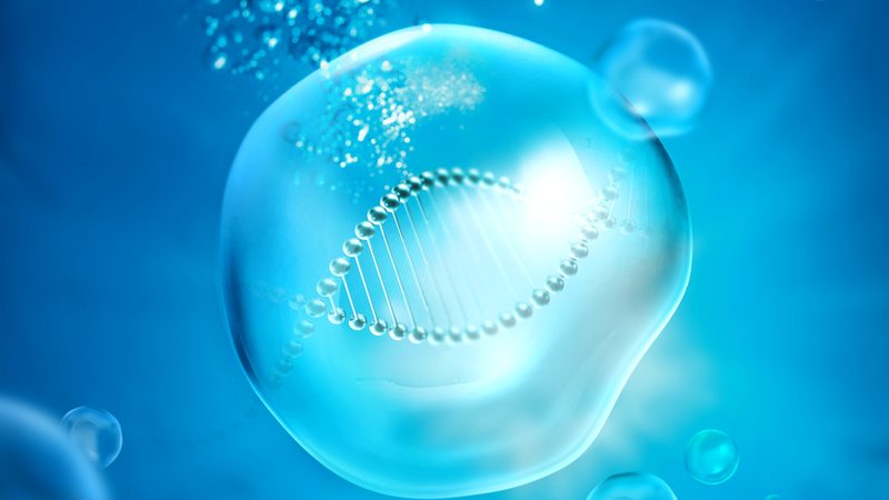 兔多克隆抗体效价检测：关键步骤与注意事项**