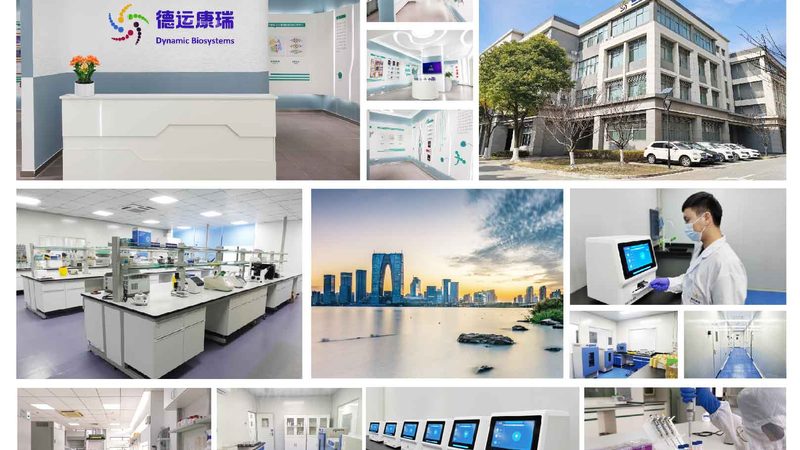CDMO与CRO：揭秘药物研发背后的两大合作伙伴