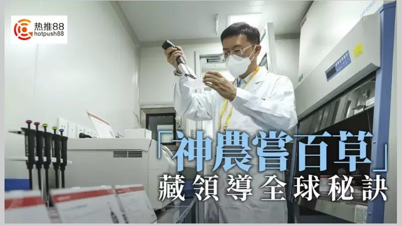 CDMO中间体定制价格对比
