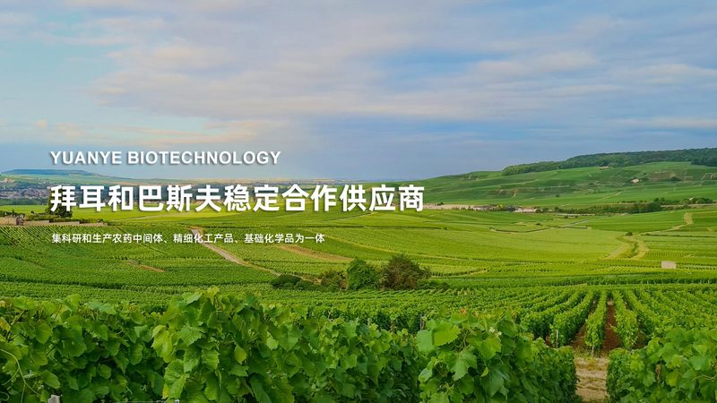治疗性抗体一支能用多久
