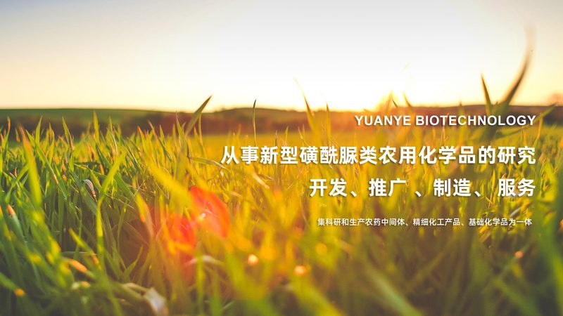 50升发酵罐：揭秘其型号参数背后的奥秘
