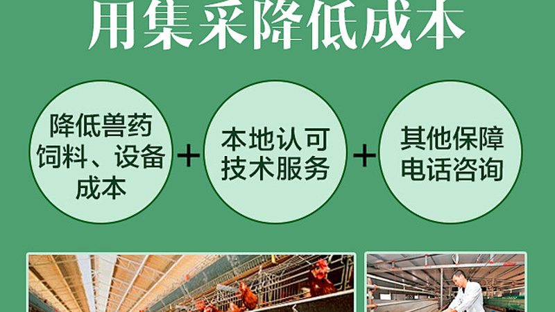 抗体药物研发外包：合作模式解析与选择要点**
