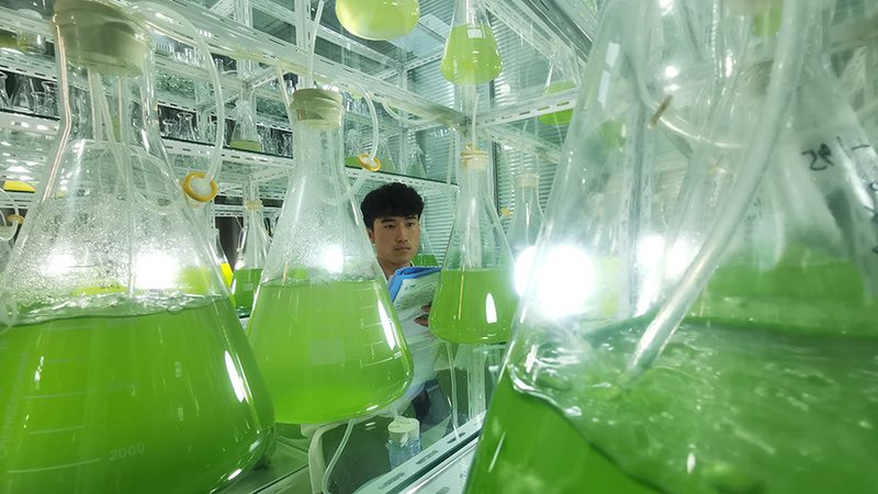 国产移液器：从“幕后英雄”到“舞台主角”**